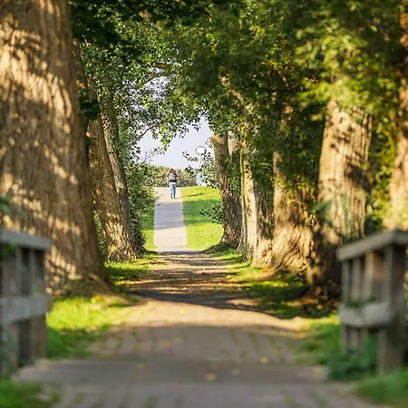 5 Sterne Ostseestuv In Der Seefahrtschule